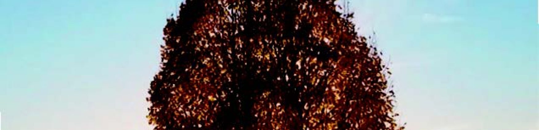 On a 20 ans pour changer le monde