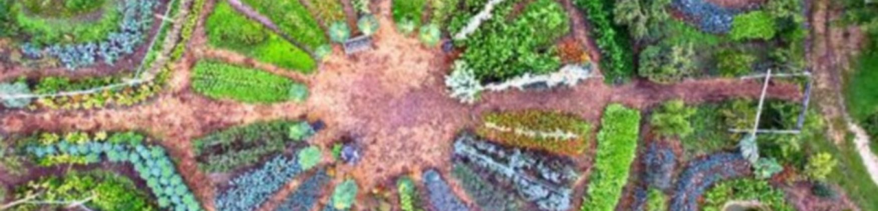 > Cultiver en s’aidant de la nature