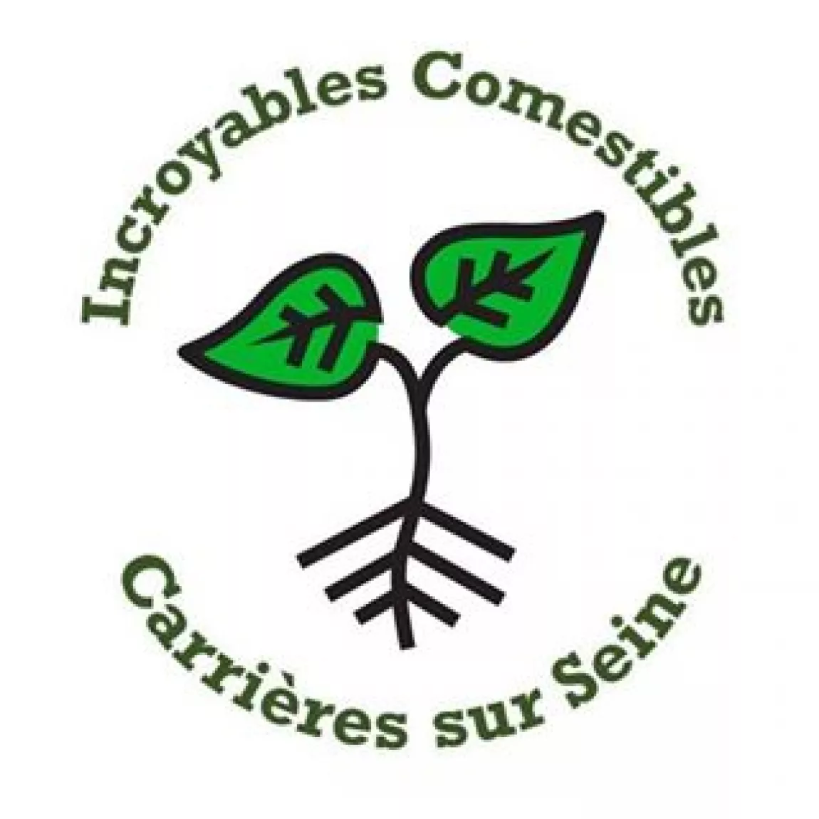 incroyables-comestibles.jpg
