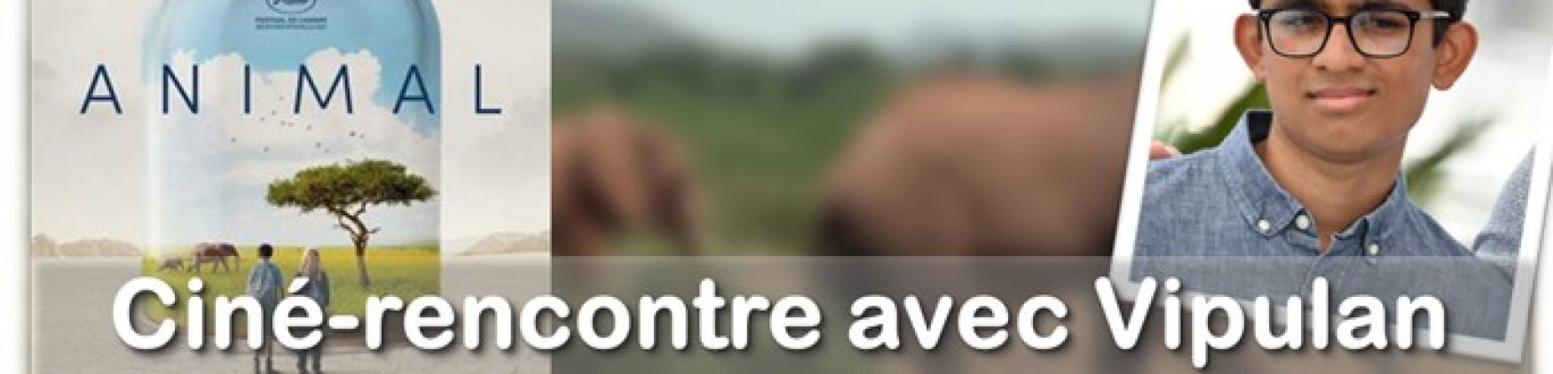 Projection du film « Animal » suivi d&rsquo;une ciné-rencontre avec Vipulan Puvaneswaran