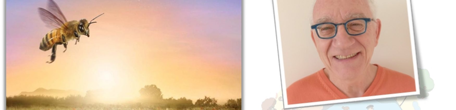 Projection du film « Être avec les abeilles » suivie d&rsquo;un ciné-débat avec Serge Lonqueu