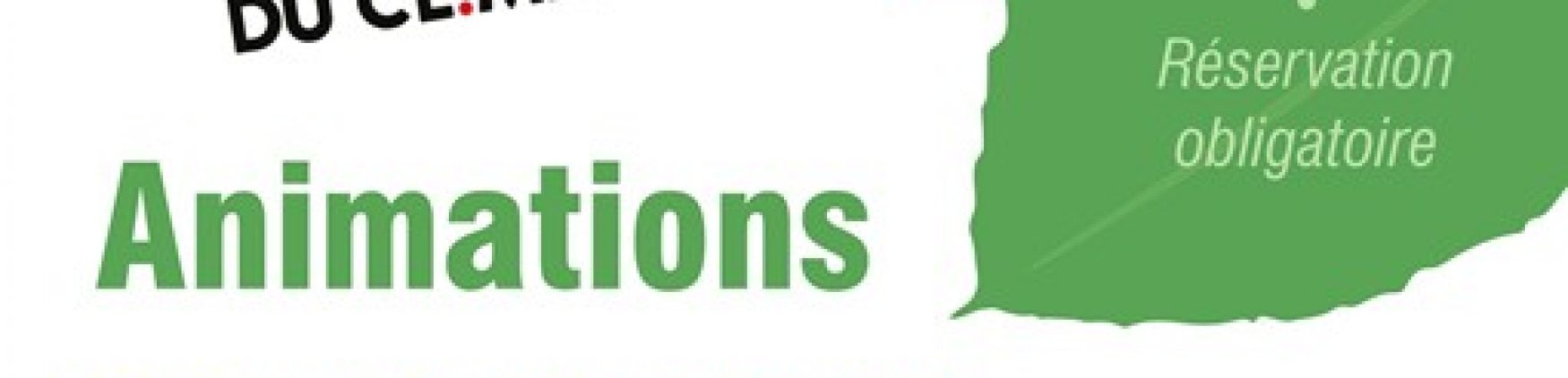 Fresque du Climat par les Carrillons pour la Transition Ecologique