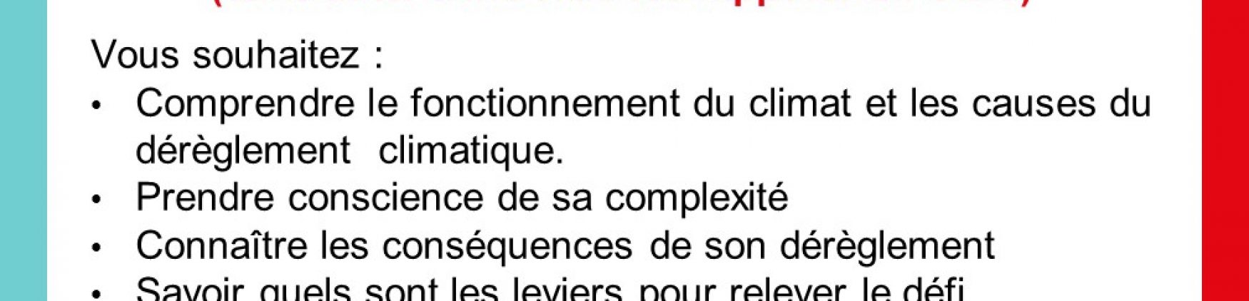 Atelier La Fresque du Climat