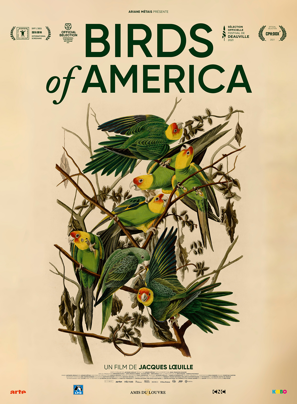 bird-of-america.jpg