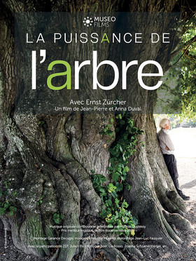 la-puissance-de-larbre-1.jpg