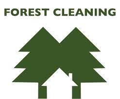 forest-cleaning.jpg