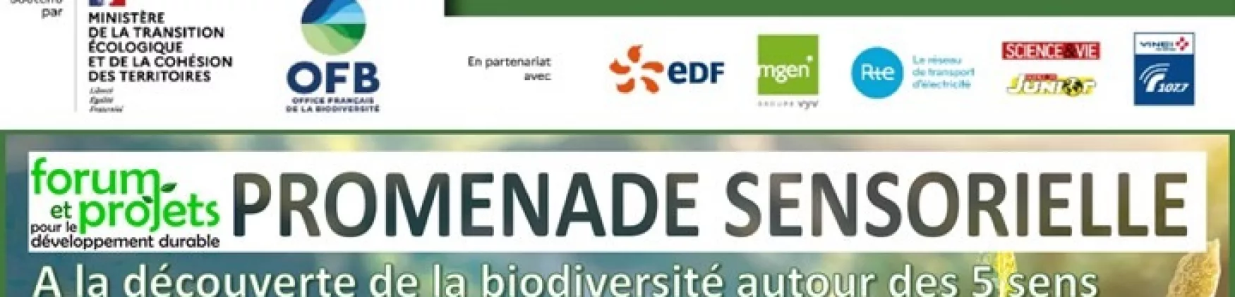 Fête de la nature – Promenade sensorielle au Vésinet