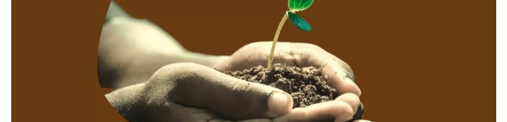 Atelier Sol Vivant – Fête du sol vivant 2024