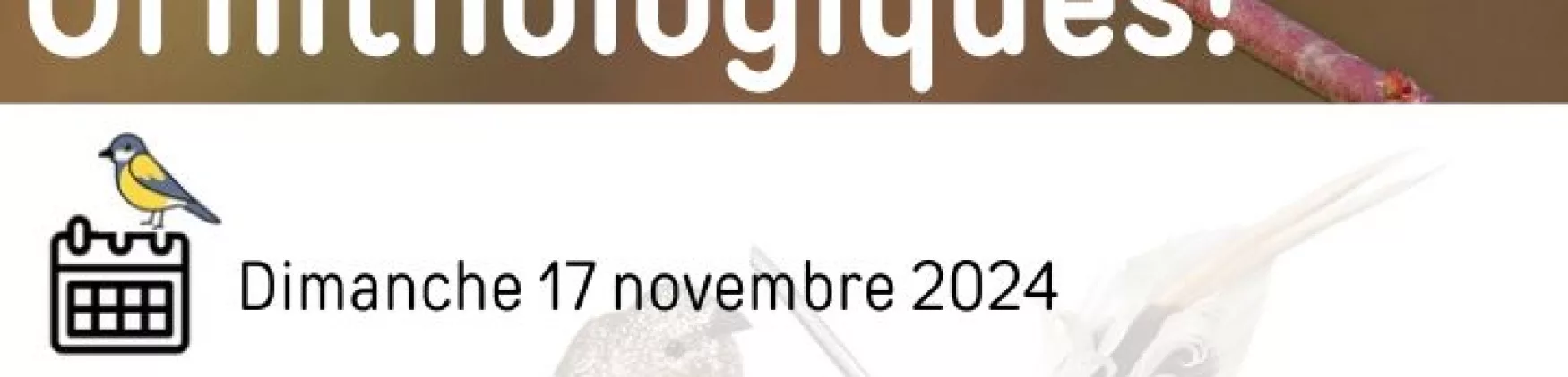 Venez renforcer notre équipe de communication !