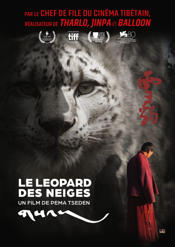 leopard-des-neiges.jpg