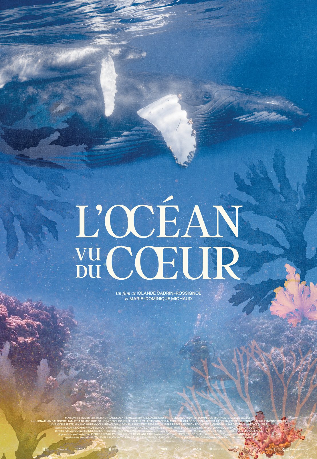 ocean-vu-du-coeur.jpg