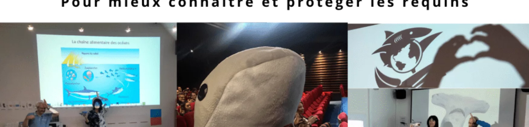 Intervention exceptionnelle de Sharks Mission France – Samedi 01 Février 2025 de 10h30 à 12h30 —