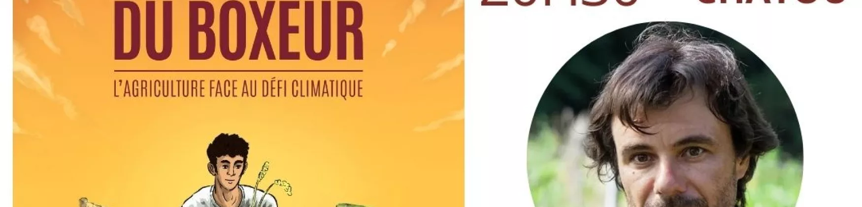 La théorie du boxeur