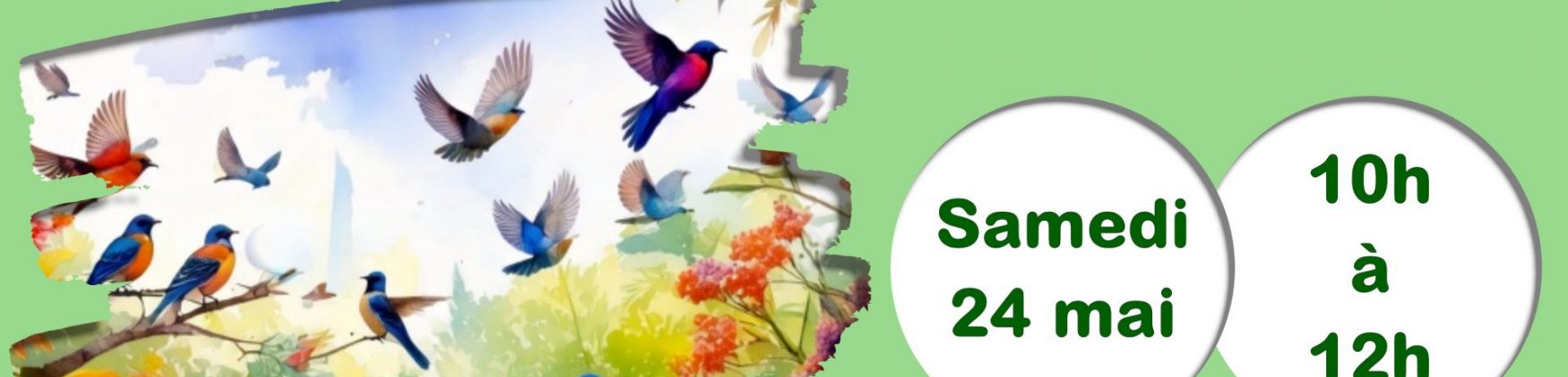 Fête de la Nature 2025 – Comptage oiseaux des jardins