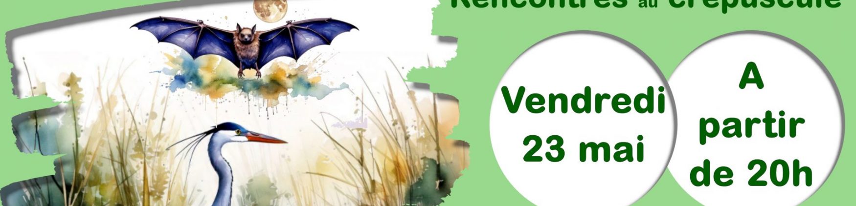 Fête de la nature -2025- Montesson- Rencontres au crépuscule des hérons et chauves-souris