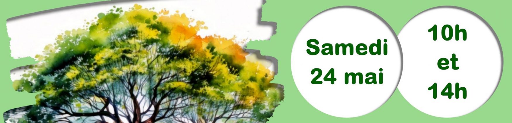Fête de la nature 2025 – Balade Arbres Remarquables