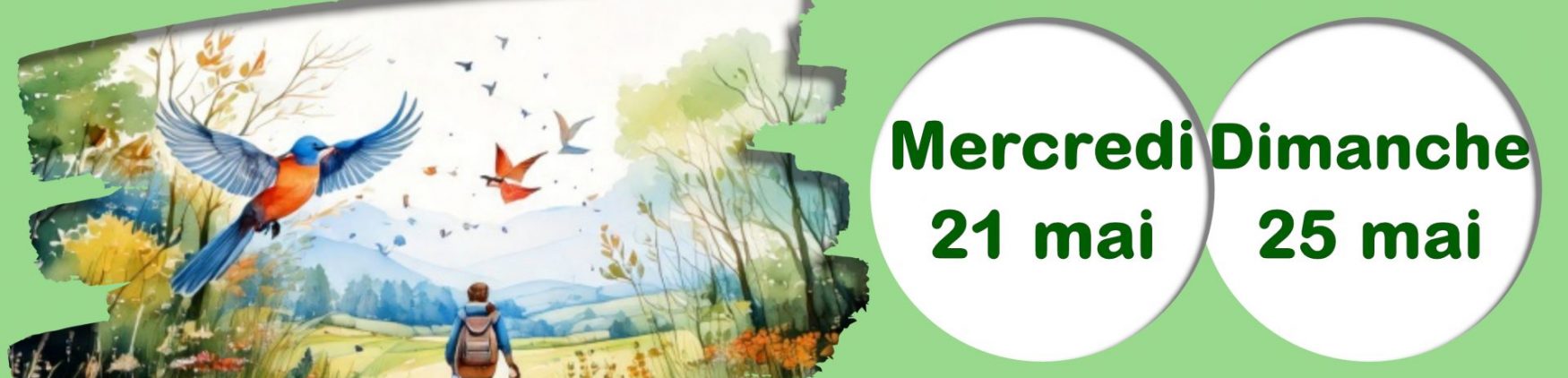 Fête de la Nature 2025 – Balade Eveil Nature au Vésinet