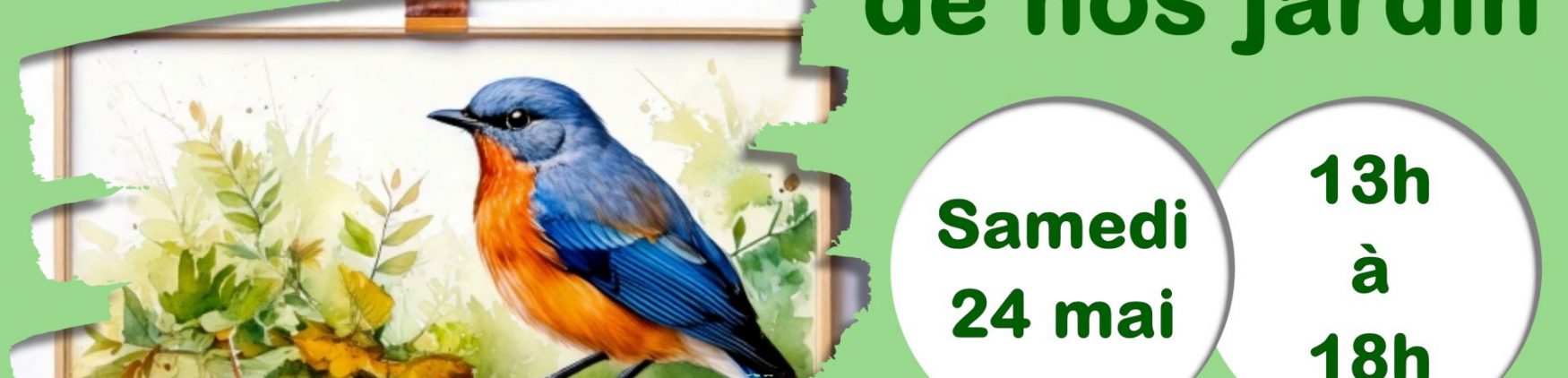 Fête de la nature – 2025 – Expo photos Oiseaux