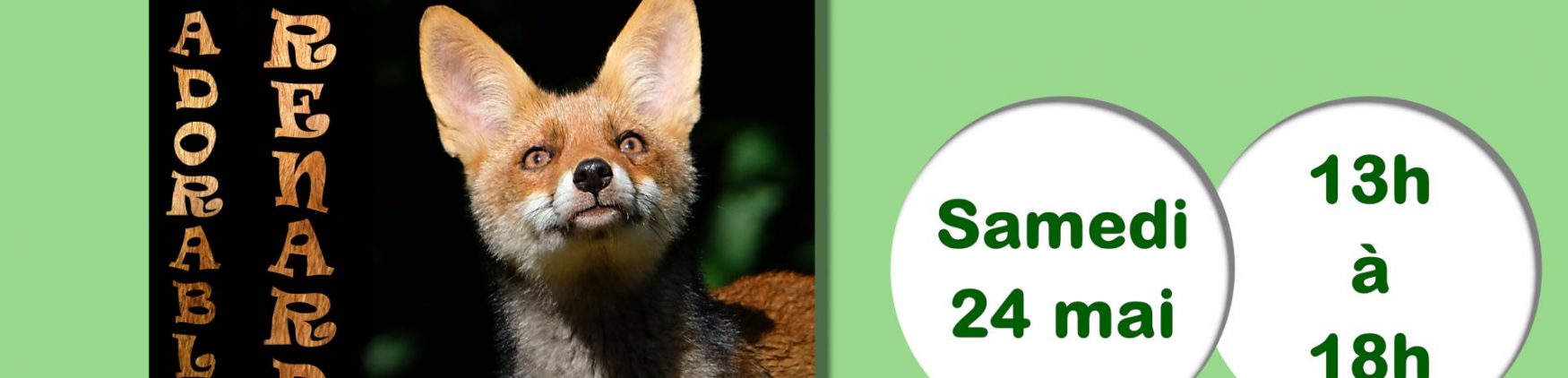 Fête de la nature – 2025- Chatou- Le renard s’invite en ville : une exposition photographique à ciel ouvert