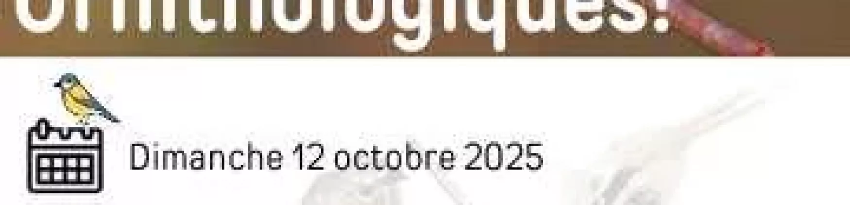 Conseils de lecture d&rsquo;Esther Crauser-Delbourg