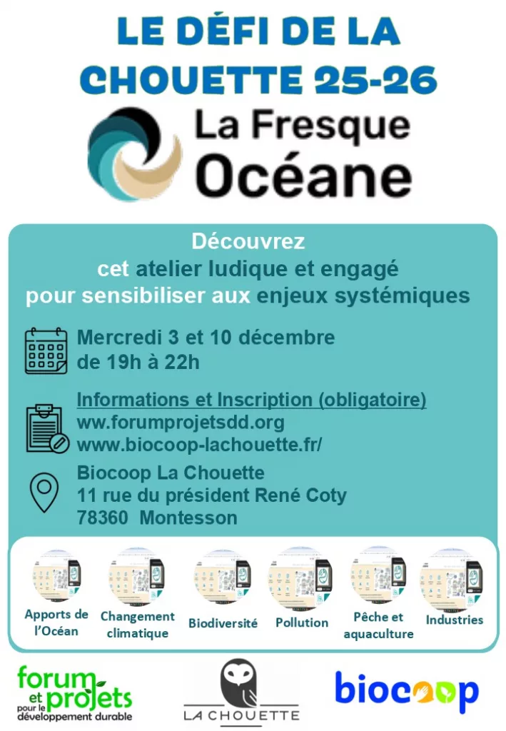 Fresque Océane - Les défis de la Chouette