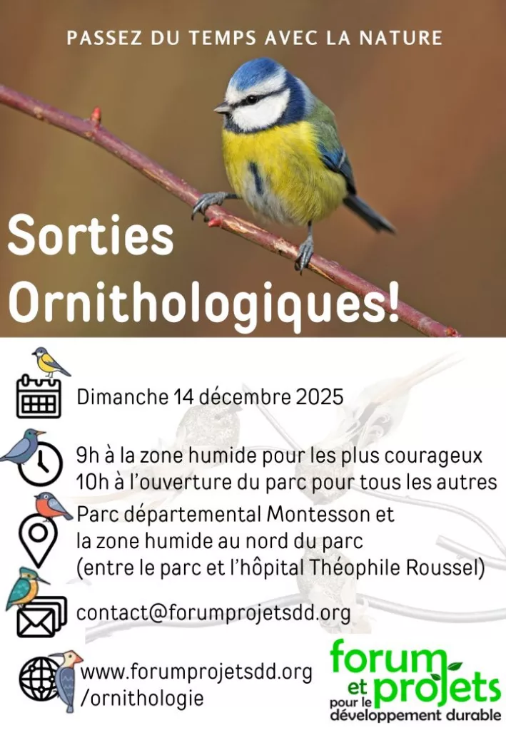 Sortie Ornithologique - Dimanche 14 décembre 2025