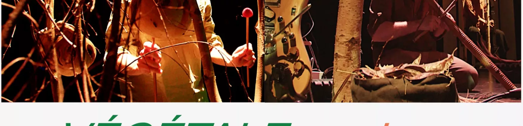 Concert : Végétal Musique