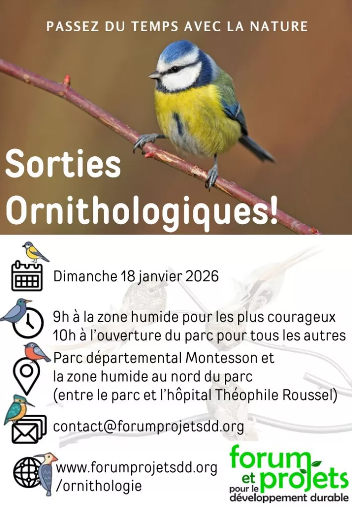 Sortie Ornithologique - Dimanche 17 janvier 2026
