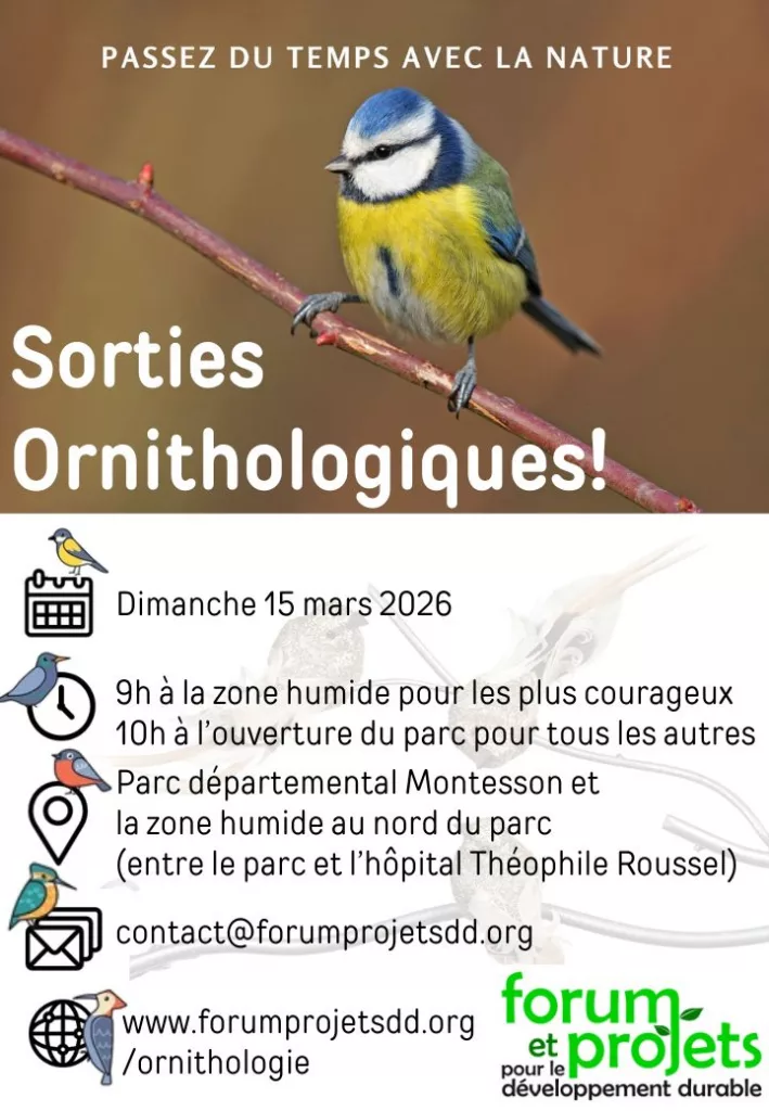 Sortie Ornithologique - Dimanche 15 mars