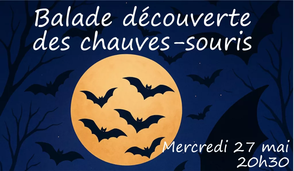 Balade Découverte des Chauves-souris au Parc Vieljeux sur l’île de la Chaussée