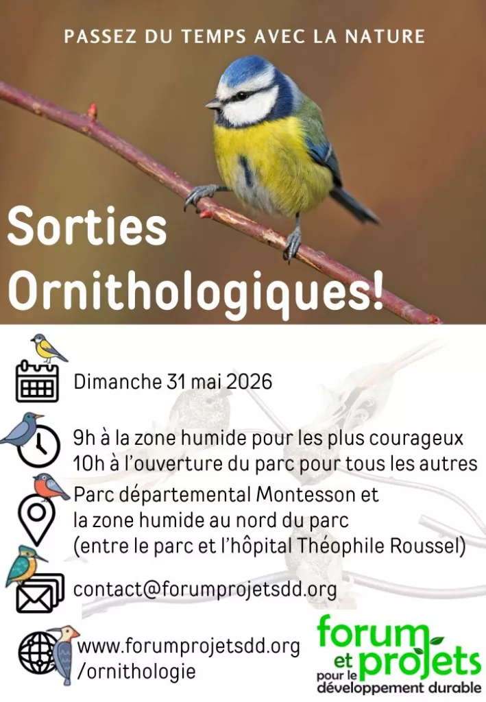 Sortie Ornithologique - Dimanche 31 mai 2026