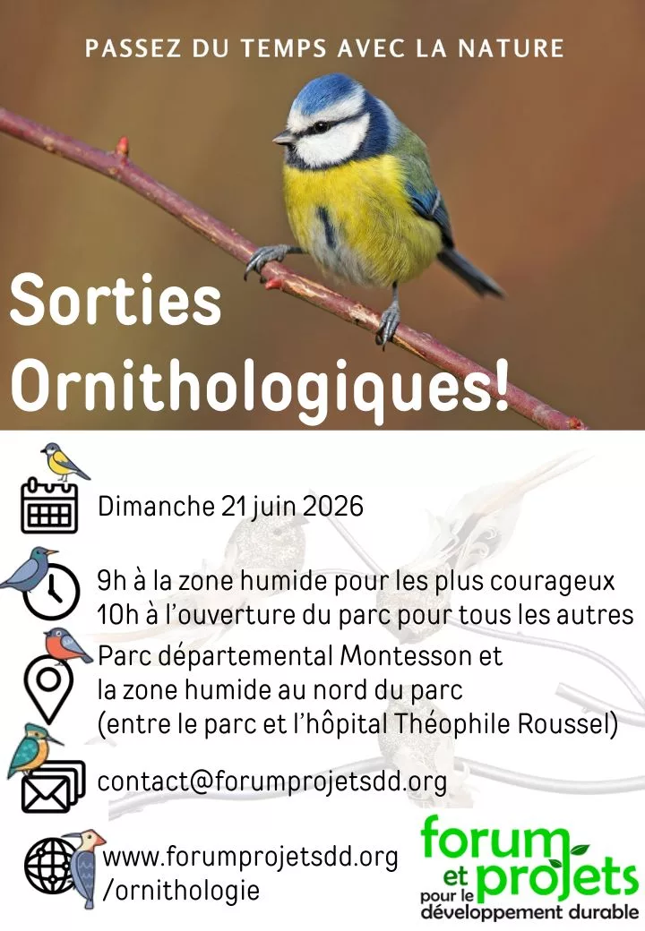 Ornitho 260621