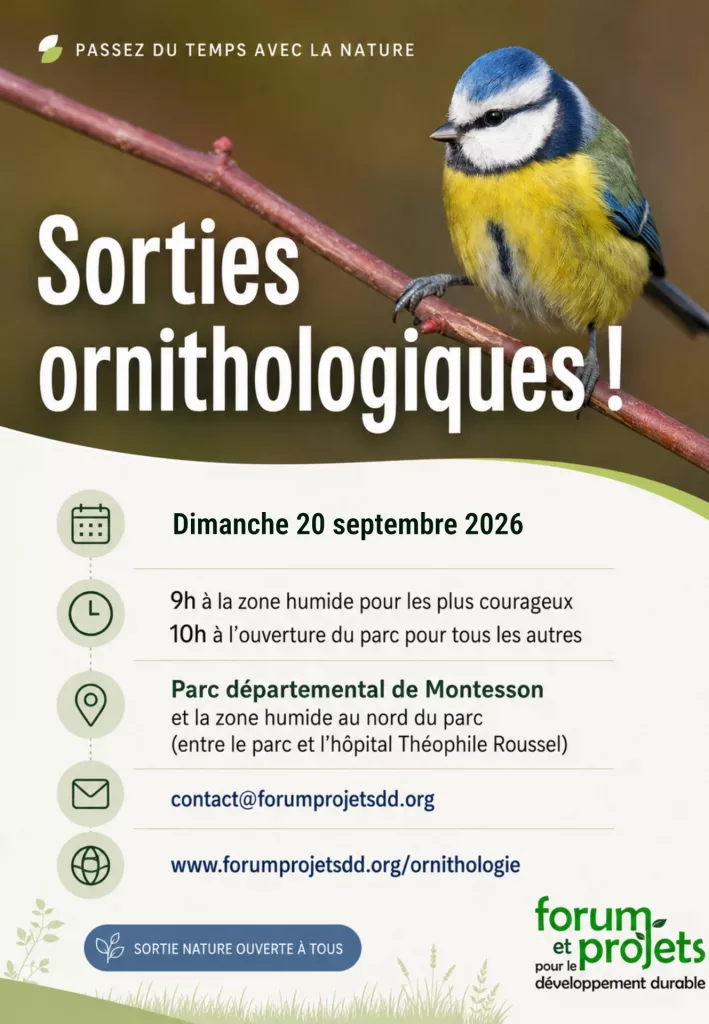 Sortie Ornithologique Sortie Ornithologique
