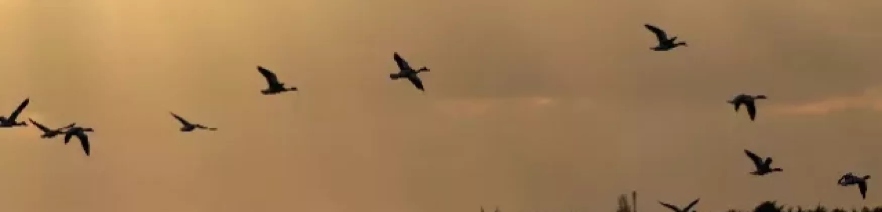 Ep 5 SEPTEMBRE, le mois où le ciel voyage…